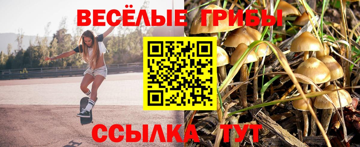 Псилоцибиновые грибы прущие грибы  Вход с VPN  Волжский 